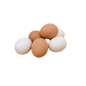 Egg