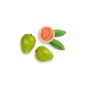 Guava